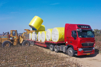 非凡十年 | 新疆生產(chǎn)建設(shè)兵團(tuán)︰努力形成新時(shí)代兵團(tuán)維穩(wěn)戍邊新優(yōu)勢(shì)
